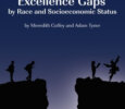 Excellence Gaps
